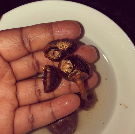 Gorontula Fruits UK – Our Founder’s Journey & Why We’re the #1 Trusted Source