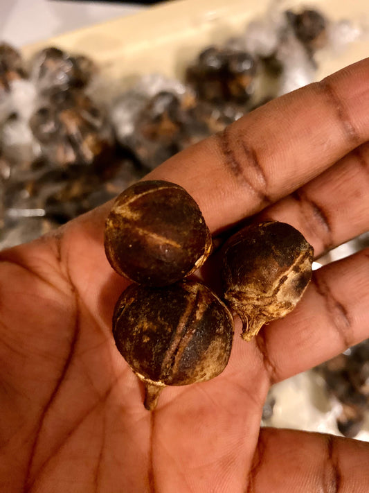 Founder of Gorontula UK holding gorontula fruits