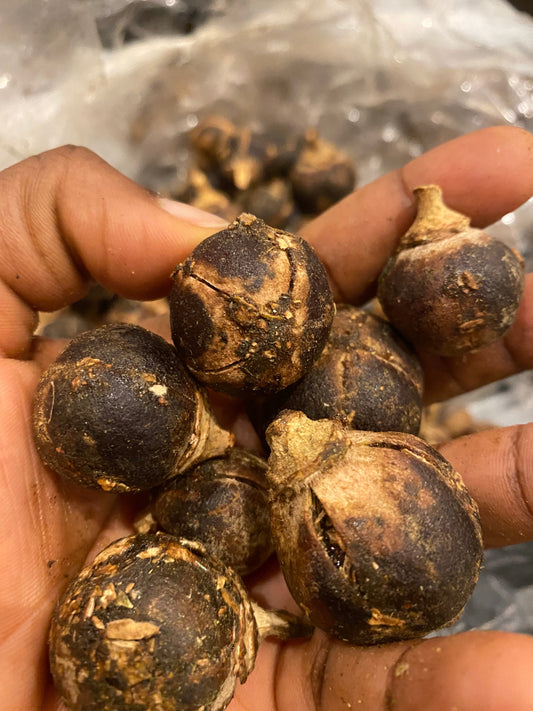 alt="Gorontula fruit also known as African chewing gum"